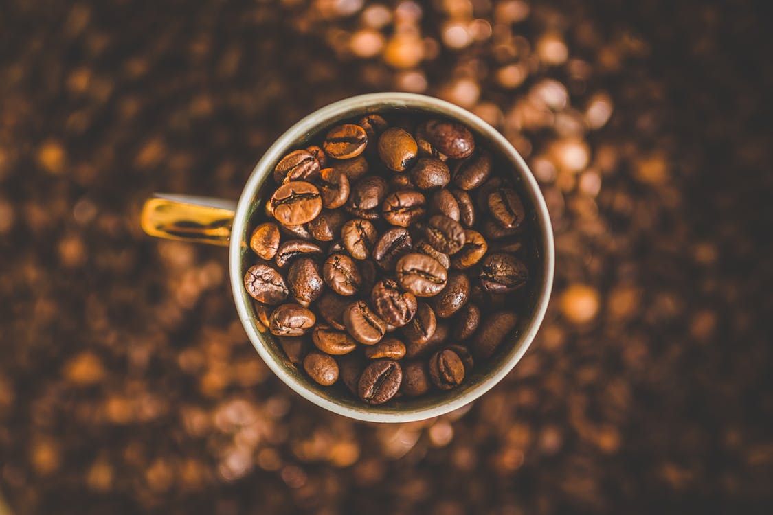 Climate change could decimate coffee crops