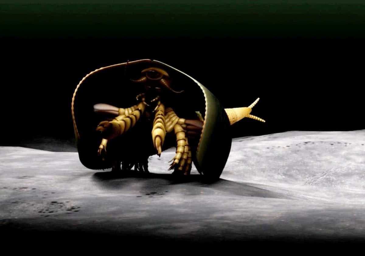 507 million-year-old sea monster identified