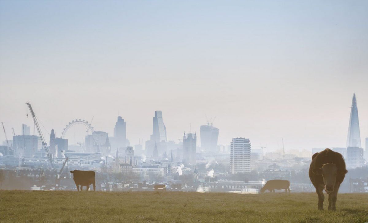 Is this the most disappointing steakhouse in London?