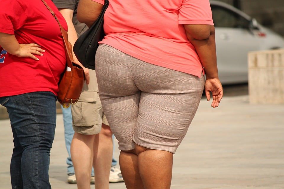 Major study claims global childhood obesity has increased ten fold since 1975