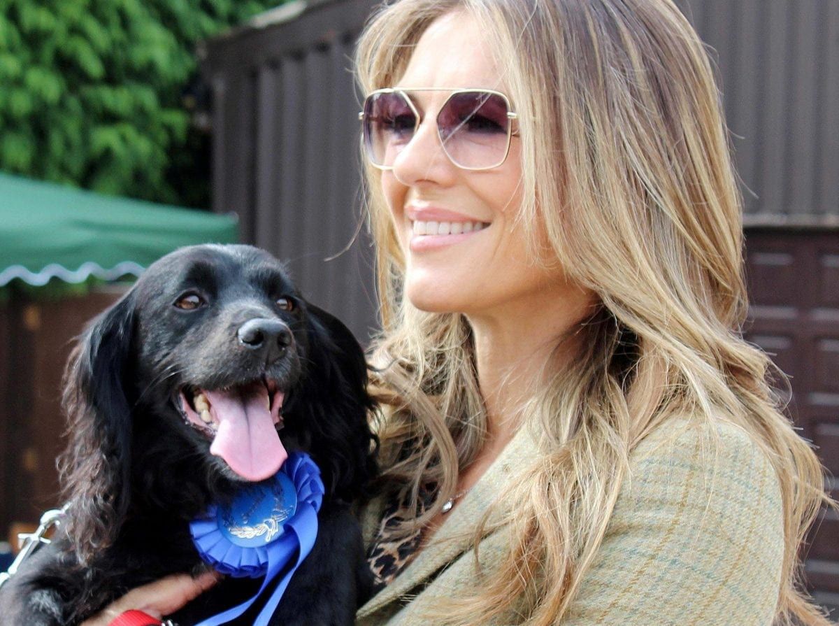 Liz Hurley brings touch of glamour to village dog show