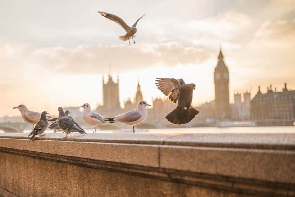 What’s on in London this winter?