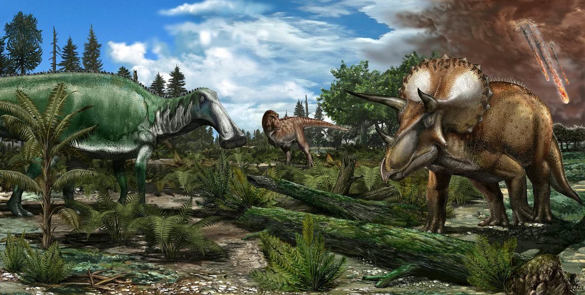 Dinosaurs ‘thriving’ before asteroid strike that wiped them out