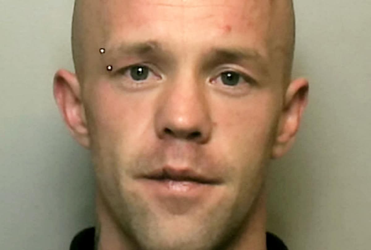 Thug who stabbed police dog in the head is jailed in UK legal first