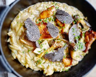 Oblix orzo recipe with wild mushroom and truffle