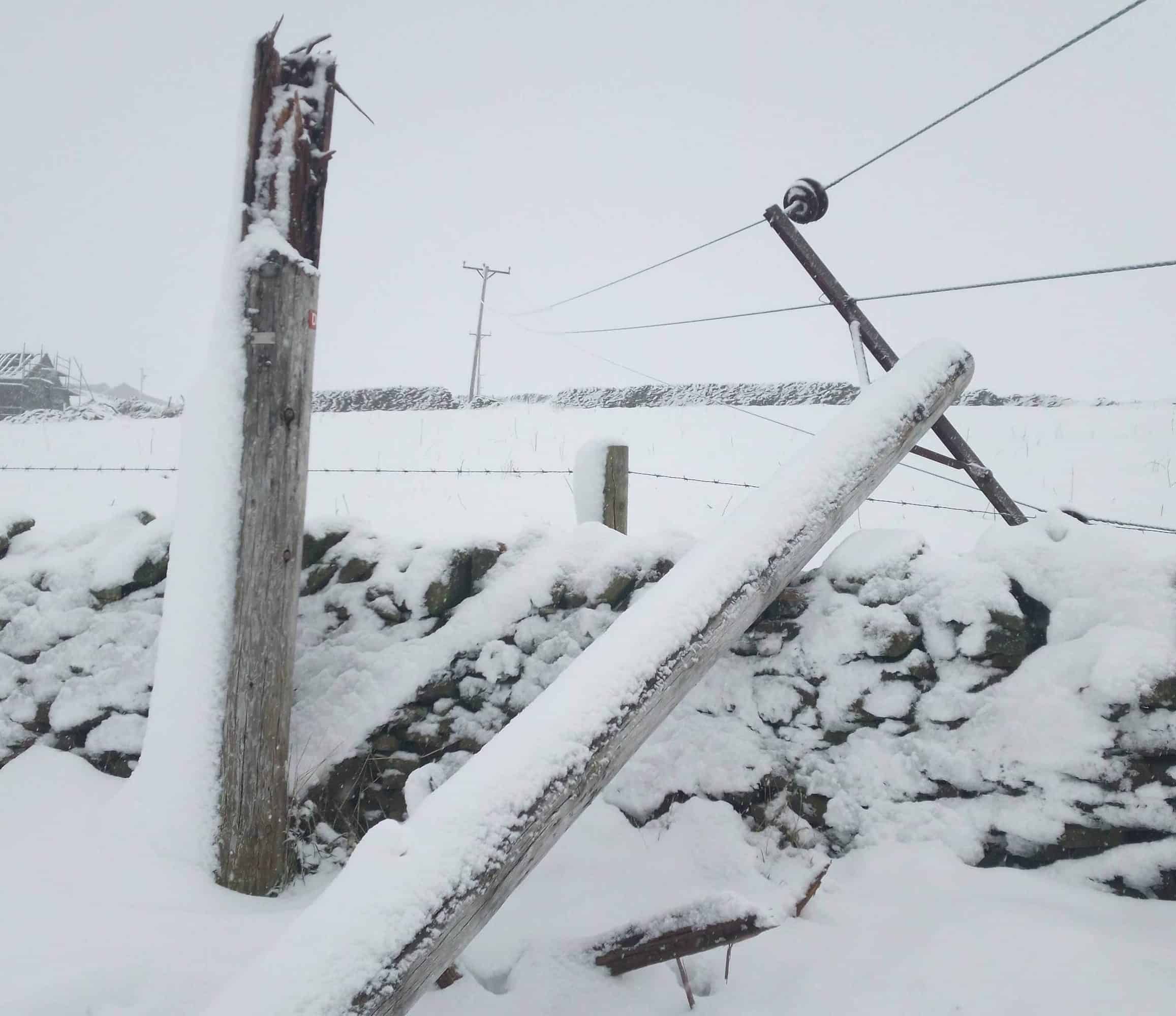 ‘Using dog as hot water bottle:’ Fury as thousands enter 8th day without power following Storm Arwen