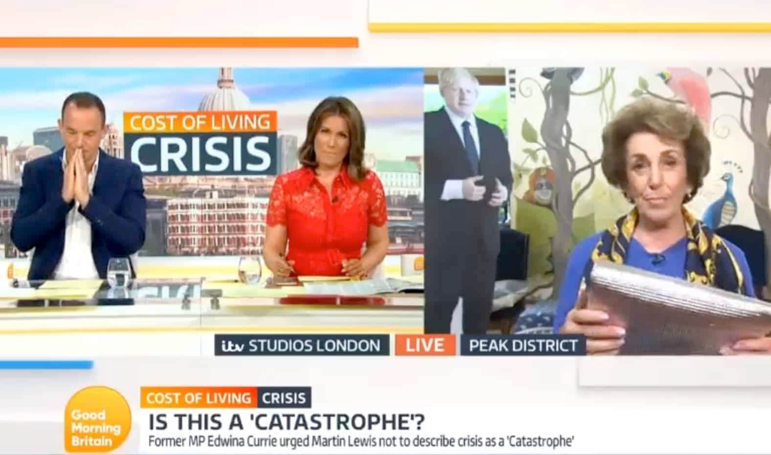 Watch: Martin Lewis literally has head in hands after Edwina Currie gives energy advice