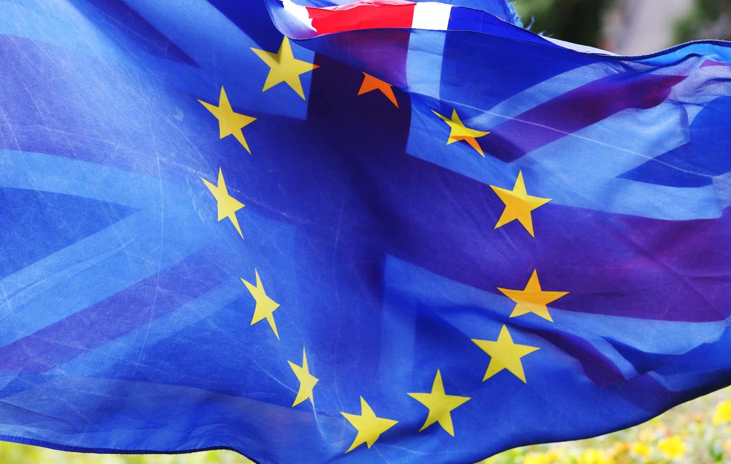Tory and Leave voters brand Brexit a ‘failure’
