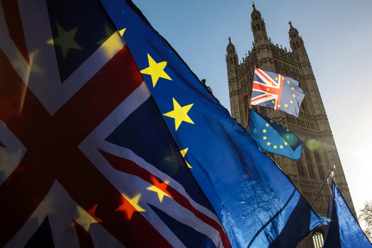 Half of Brits believe there should be another EU referendum in the next five years – ‘Brexit failures’