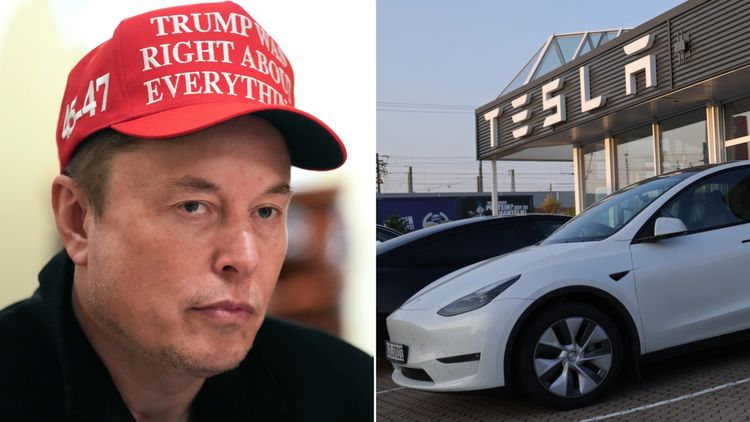 tesla share price wall street