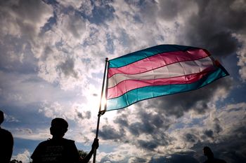 trans people