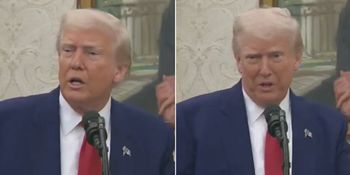 trump taco