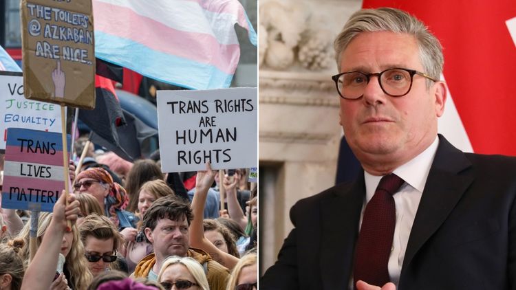 Biologists tell government to restore trans people’s access to public spaces after Supreme Court ruling 