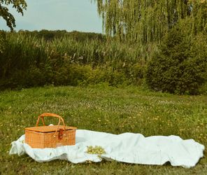 best hamper companies