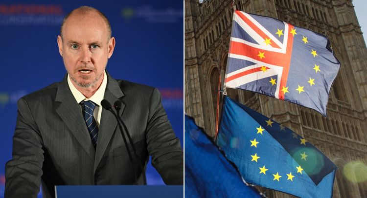 daniel hannan brexit
