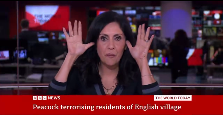 Credit: BBC