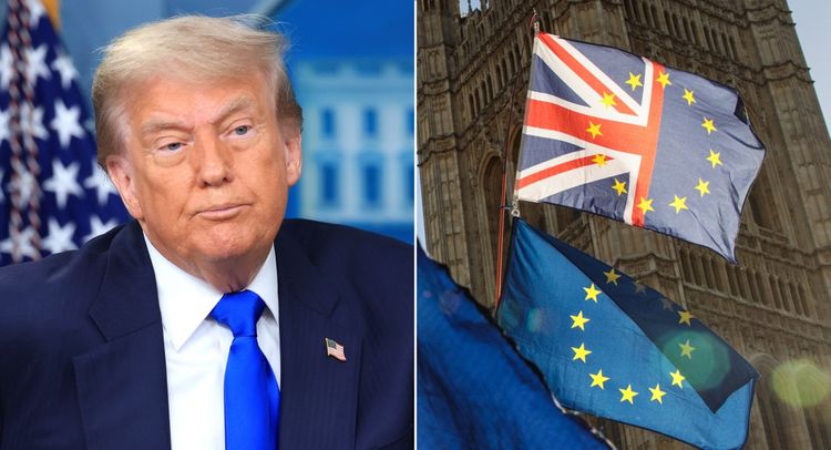 trump brexit