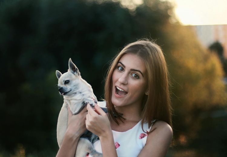 Not everyone likes dogs