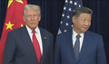 Trump humiliated by 'cold reception' from icy President Xi