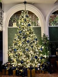 The lobby tree -shiny!