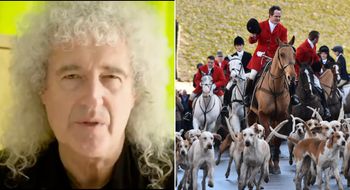 brian may fox hunting