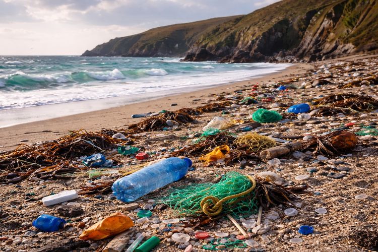 Plastic Pollution Cornwall