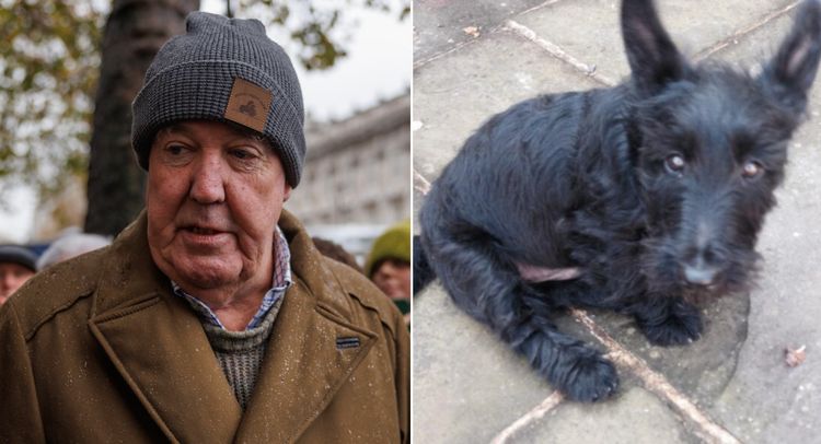 jeremy clarkson dog