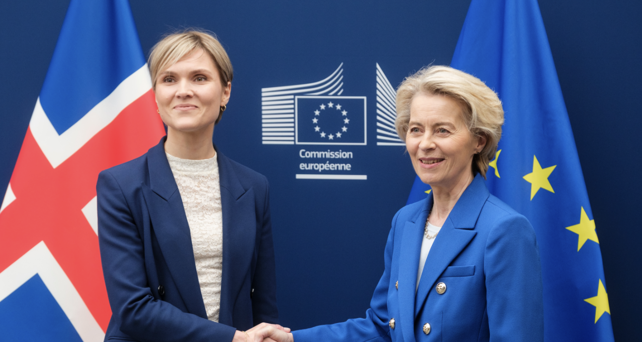 Iceland to hold referendum on relaunching talks to join EU