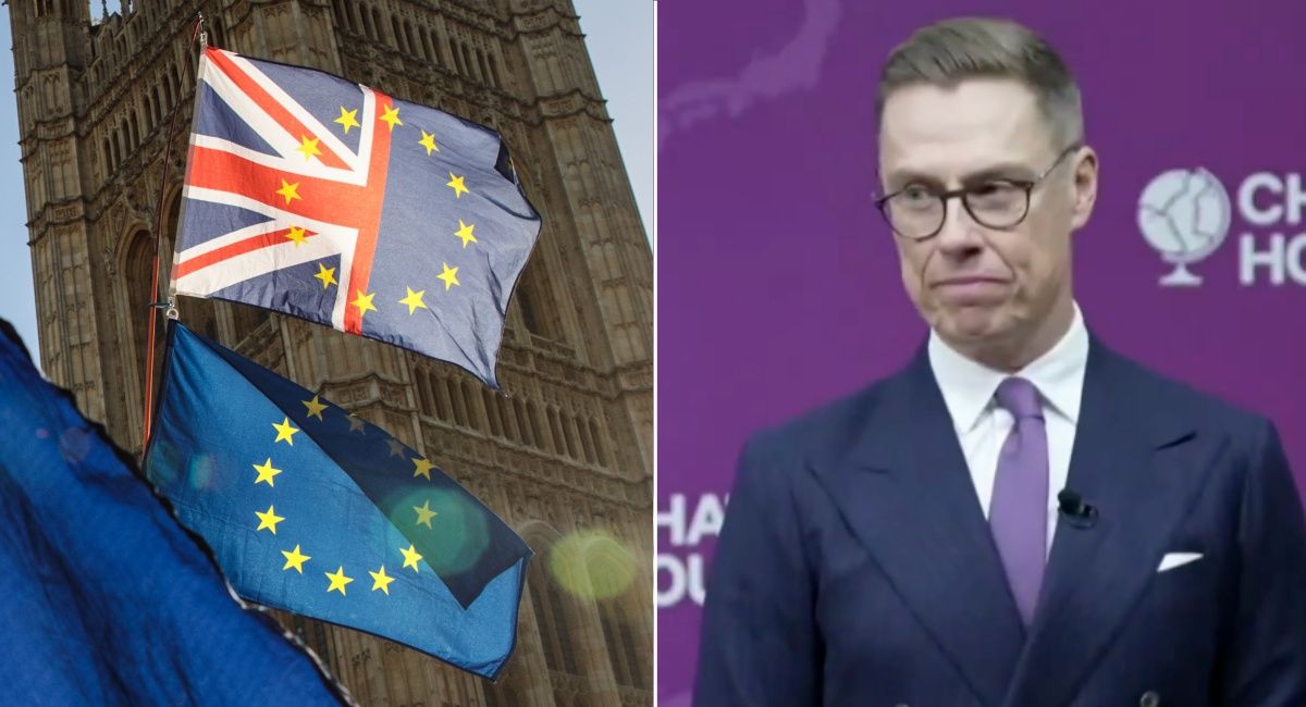 ‘Like amputating your leg for no reason’ – Finland president slams Brexit