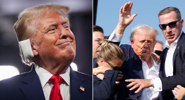 maga trump assassination attempt hoax