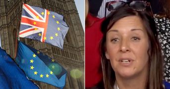 labour brexit rejoining eu