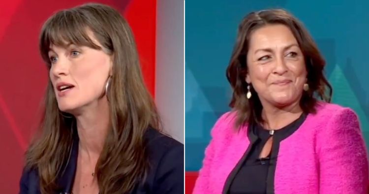 Reform leader of Kent council embarrassed by Green Party's Rachel Millward
