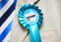 reform sheffield councillor