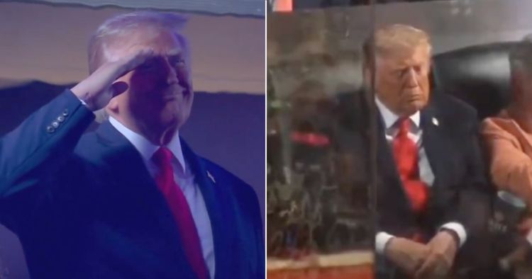 donald trump knicks booed