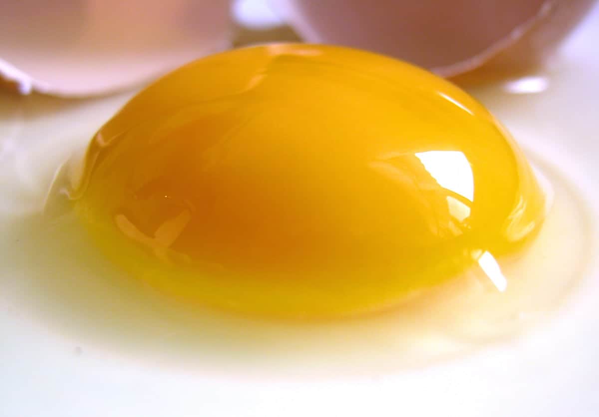 Women thank men for finally allowing them to eat raw eggs whilst pregnant