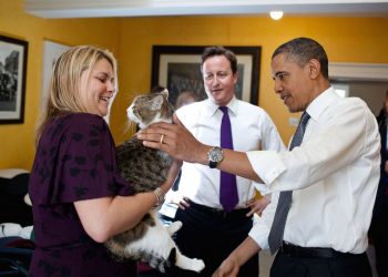British Prime Minister David Cameron introduces President Barack Obama to Larry the cat at 10 Downing Street in London, England, May 25, 2011. (Official White House Photo by Pete Souza)

This official White House photograph is being made available only for publication by news organizations and/or for personal use printing by the subject(s) of the photograph. The photograph may not be manipulated in any way and may not be used in commercial or political materials, advertisements, emails, products, promotions that in any way suggests approval or endorsement of the President, the First Family, or the White House.