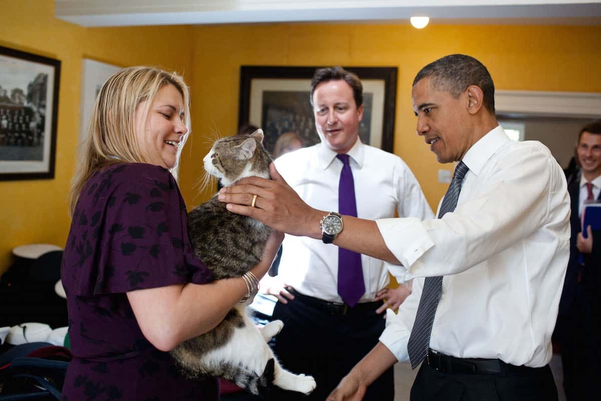 British Prime Minister David Cameron introduces President Barack Obama to Larry the cat at 10 Downing Street in London, England, May 25, 2011. (Official White House Photo by Pete Souza)

This official White House photograph is being made available only for publication by news organizations and/or for personal use printing by the subject(s) of the photograph. The photograph may not be manipulated in any way and may not be used in commercial or political materials, advertisements, emails, products, promotions that in any way suggests approval or endorsement of the President, the First Family, or the White House.