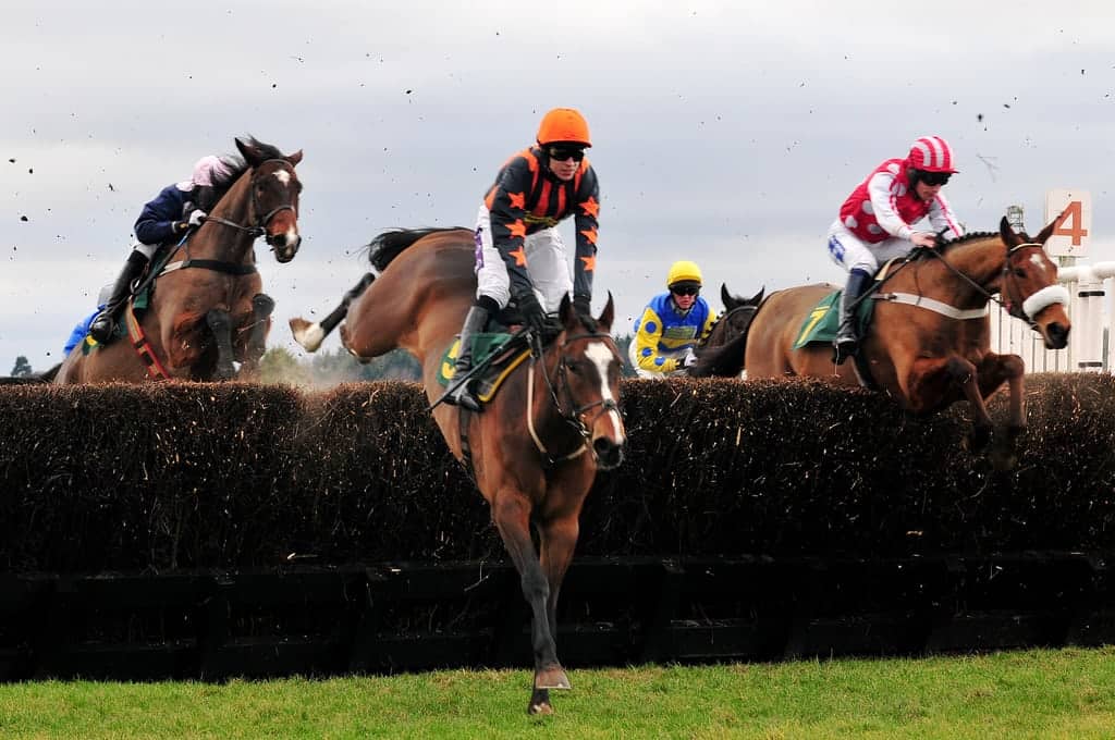 Horse Racing: Latest News & Upcoming Events