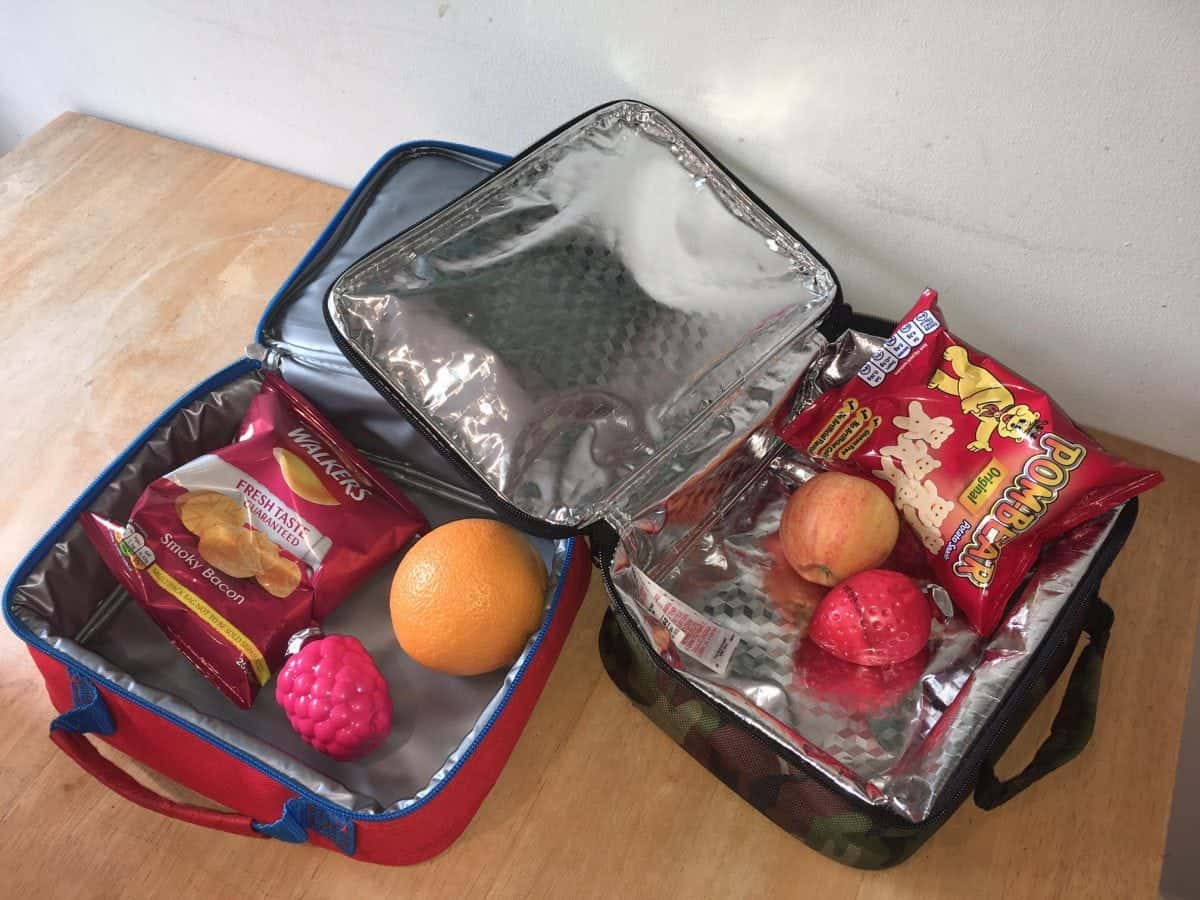 Research Finds Bacteria in School Lunchboxes Could Trigger Asthma and Eczema