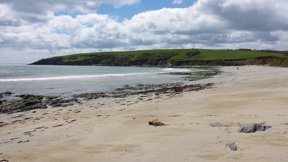 Good environmental news for once! Cleanest beaches in UK for 250 years