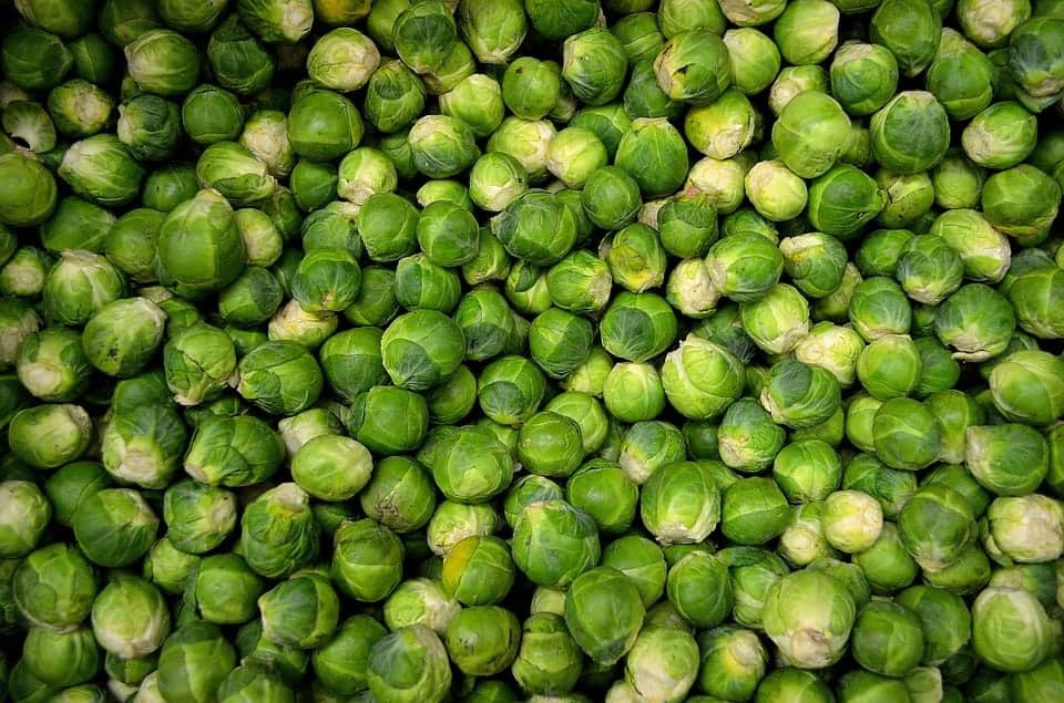 Morrisons causes Twitter storm after dropping Brussels from sprouts