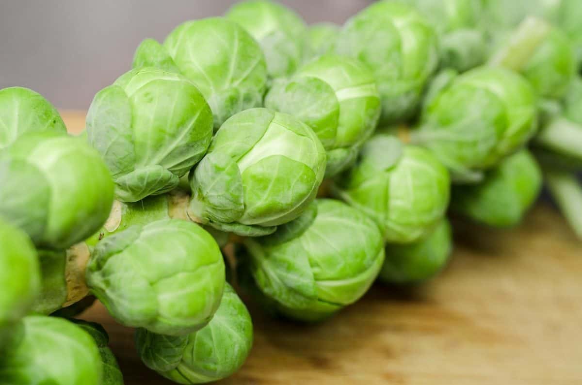 Follow the Adventures of a Christmas Sprout from Field to Fork