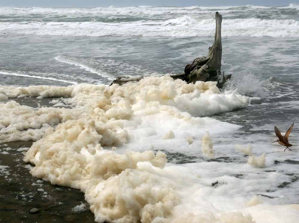 Man-made pollutants “have reached the furthest corners of the planet”