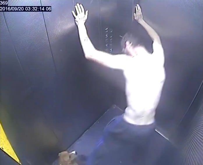 Watch – Thug who “loves animals” escapes jail after stamping on dog & giving thumbs up to CCTV