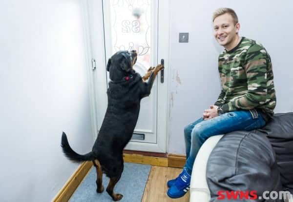 Man’s life saved by dog who opened door for paramedics as owner was unconscious