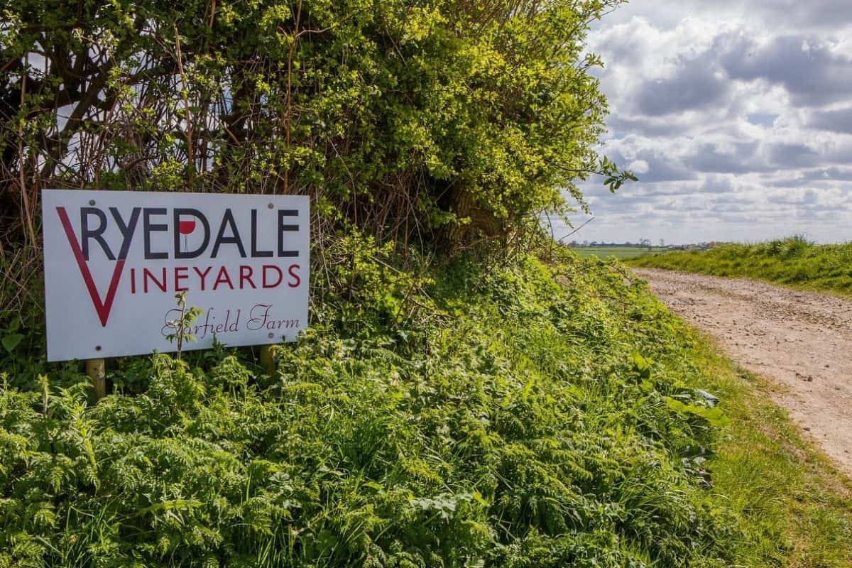 Inside Britain’s most northerly commercial wine producer