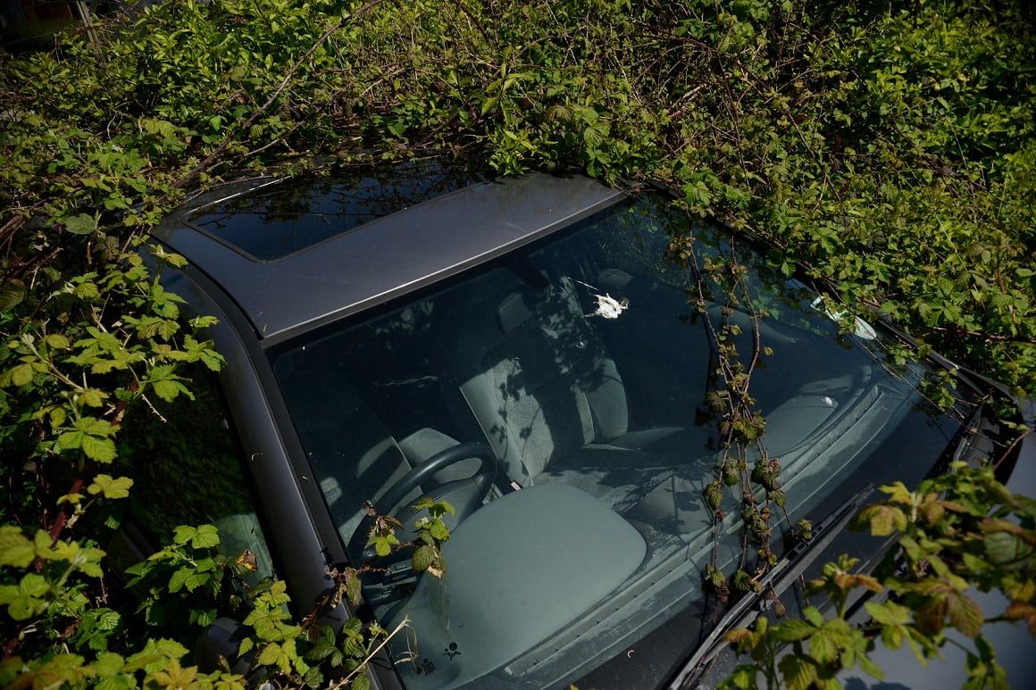 Here's Britain's most overgrown car which has been abandoned for three years - but only has gearbox issues. See SWNS story SWCAR.  The Renault has been left on private land since 2014 and is completely swamped by wildlife.  It now resembles something out of the film 'The Day of the Triffids' as nature grows around it.  Locals in Plymstock, Devon fear the owner has abandoned the car and moved away.