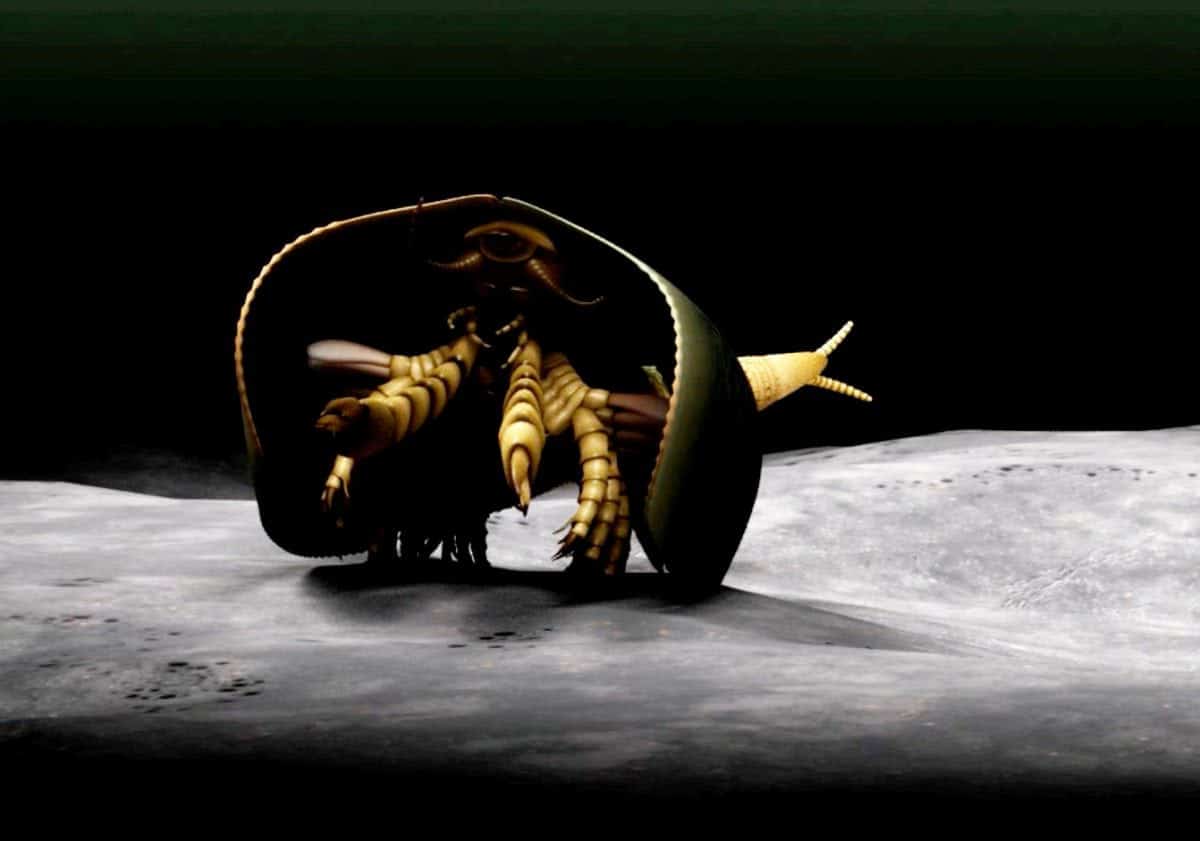 ***EMBARGOED UNTIL 6PM BST, WED APR 26TH (17:00 GMT)*** 

A 507 million-year-old sea monster with can-opener like pincers has been identified for the first time. See NATIONAL story NNMONSTER.  And the strange-looking creature could point to the origin of modern day millipedes, crabs and insects, according to paleontologists.  Canadian scientists have uncovered the new fossil species that sheds light on the origin of mandibulates - the most abundant and diverse group of organisms on Earth, which includes flies, ants, crayfish and centipedes.  The creature, named Tokummia katalepsis by the researchers, is a new and "exceptionally well-preserved" fossilised arthropod - a common group of invertebrate animals with segmented limbs and hardened exoskeletons.  Tokummia documents for the first time in detail the anatomy of early "mandibulates", a sub-group of arthropods which possess a pair of specialised appendages known as mandibles, used to grasp, crush and cut their food.  Study lead author Cedric Aria, a recent graduate of the PhD programme at the University of Toronto, said: "In spite of their colossal diversity today, the origin of mandibulates had largely remained a mystery.