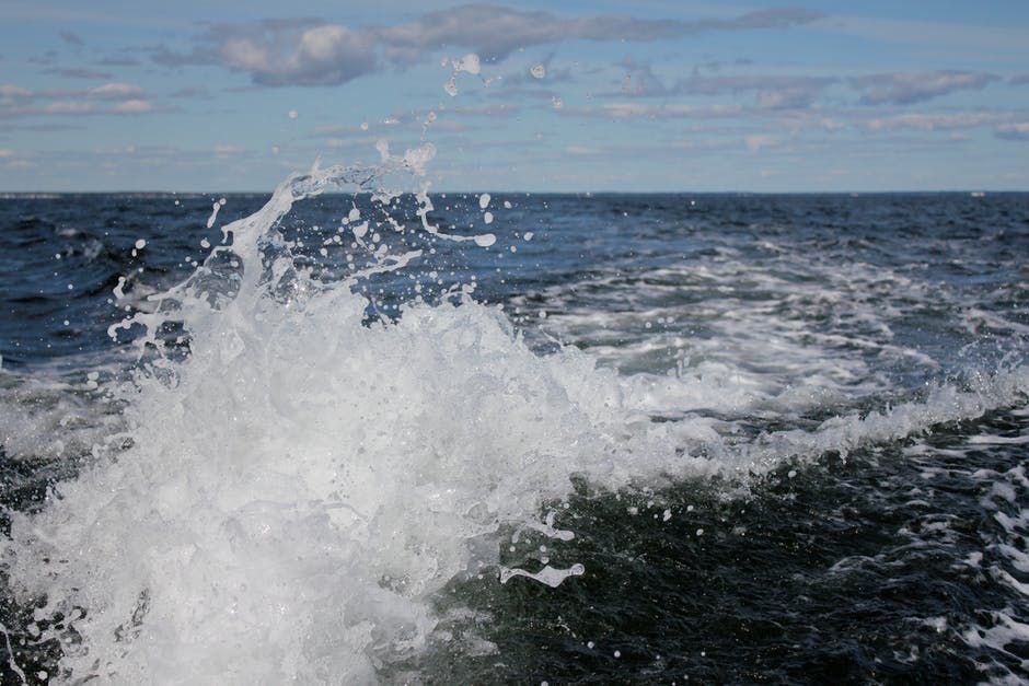 Record numbers of warm-water sea creatures shifted northward during marine heatwave