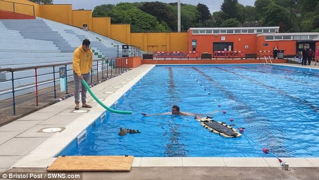 Watch – Ducklings rescued by lifeguards after being found in swimming pool